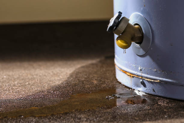 Best 24-hour water damage restoration  in Kingsley, IA