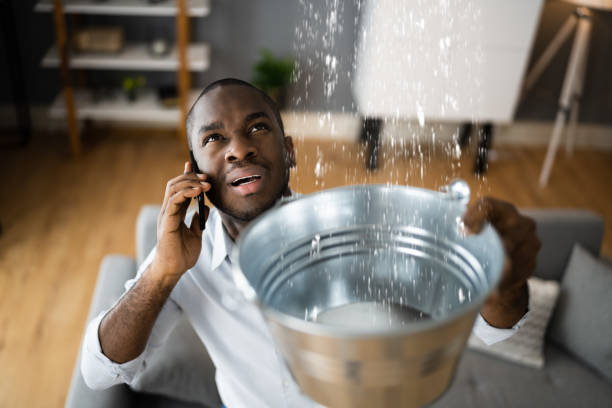 Best Water damage restoration cost  in Kingsley, IA