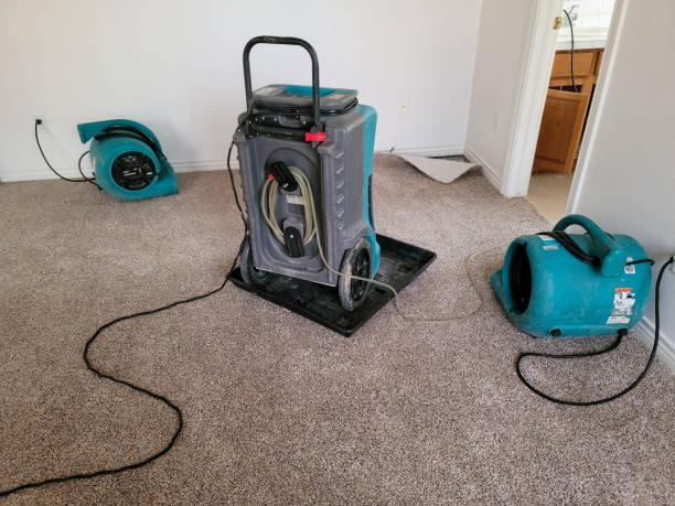 Best Basement water damage restoration  in Kingsley, IA