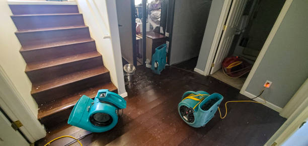 Best Local water damage restoration  in Kingsley, IA
