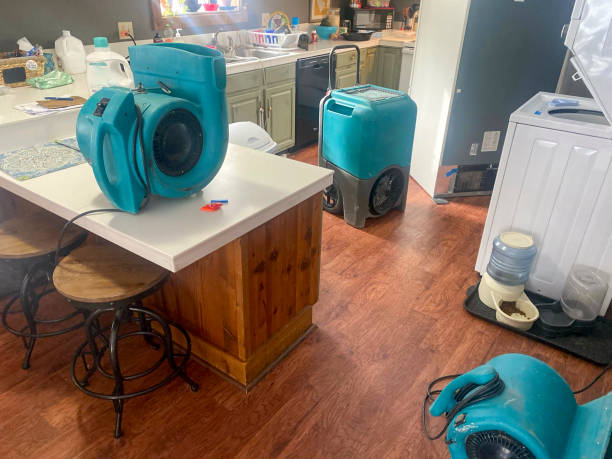 Best Mold removal after water damage  in Kingsley, IA