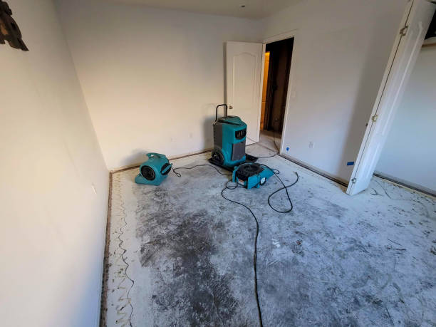 Best 24/7 water damage repair  in Kingsley, IA