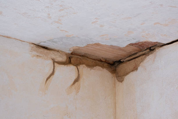 Best Fire Damage Restoration  in Kingsley, IA