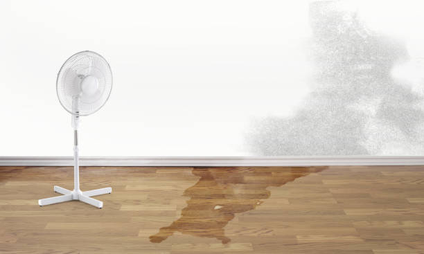 Best Water damage restoration company  in Kingsley, IA