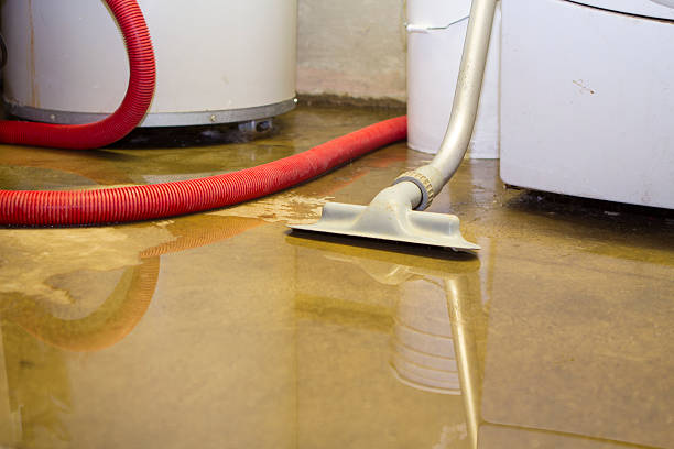  Kingsley, IA Water damage restoration Pros