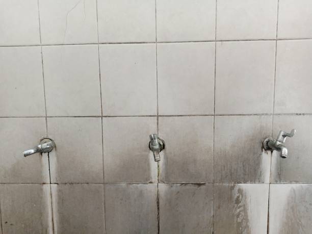  Kingsley, IA Water damage restoration Pros