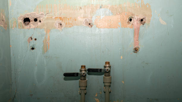 Best Water damage cleanup near me  in Kingsley, IA