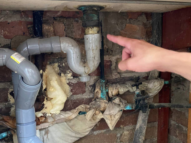 Best Commercial water damage restoration  in Kingsley, IA
