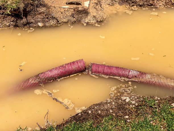 Best 24-hour water damage restoration  in Kingsley, IA