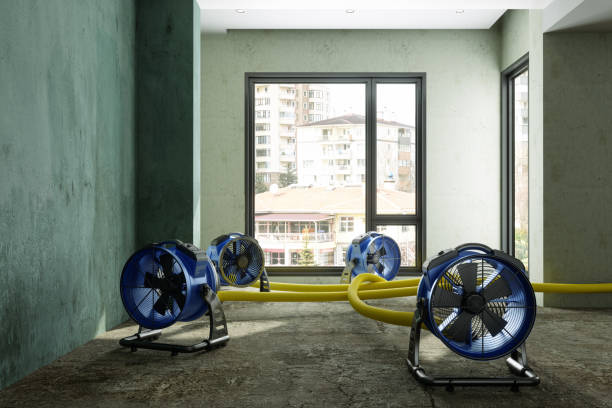Best Water damage restoration near me  in Kingsley, IA